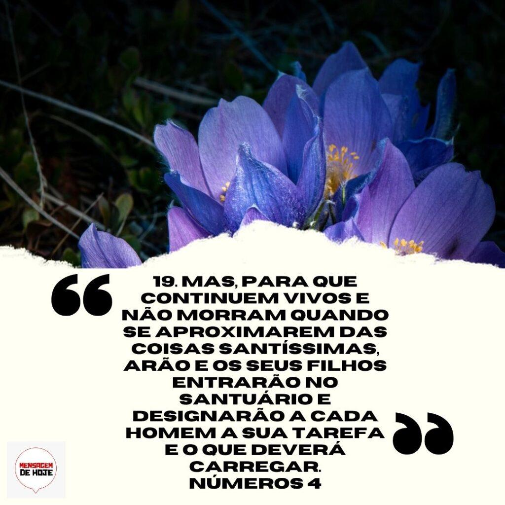 Salmos 03 de Abril de 2023 15