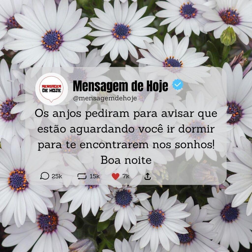 Boa Noite 08 de Abril de 2023 9