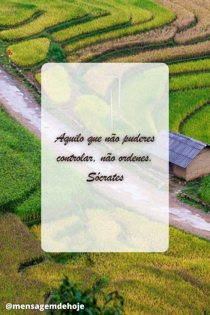 Pensamentos 21 de Maio de 2023 13