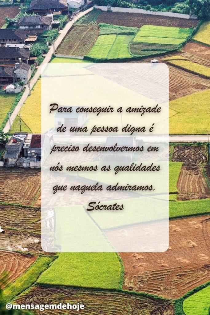 Pensamentos 21 de Maio de 2023 19
