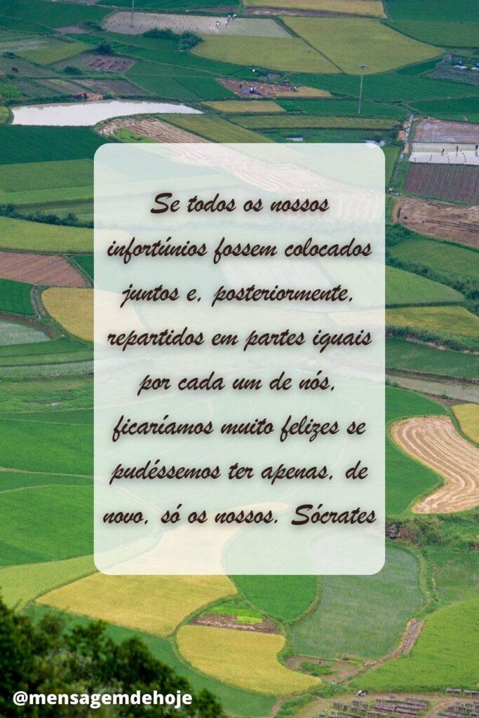 Pensamentos 21 de Maio de 2023 15