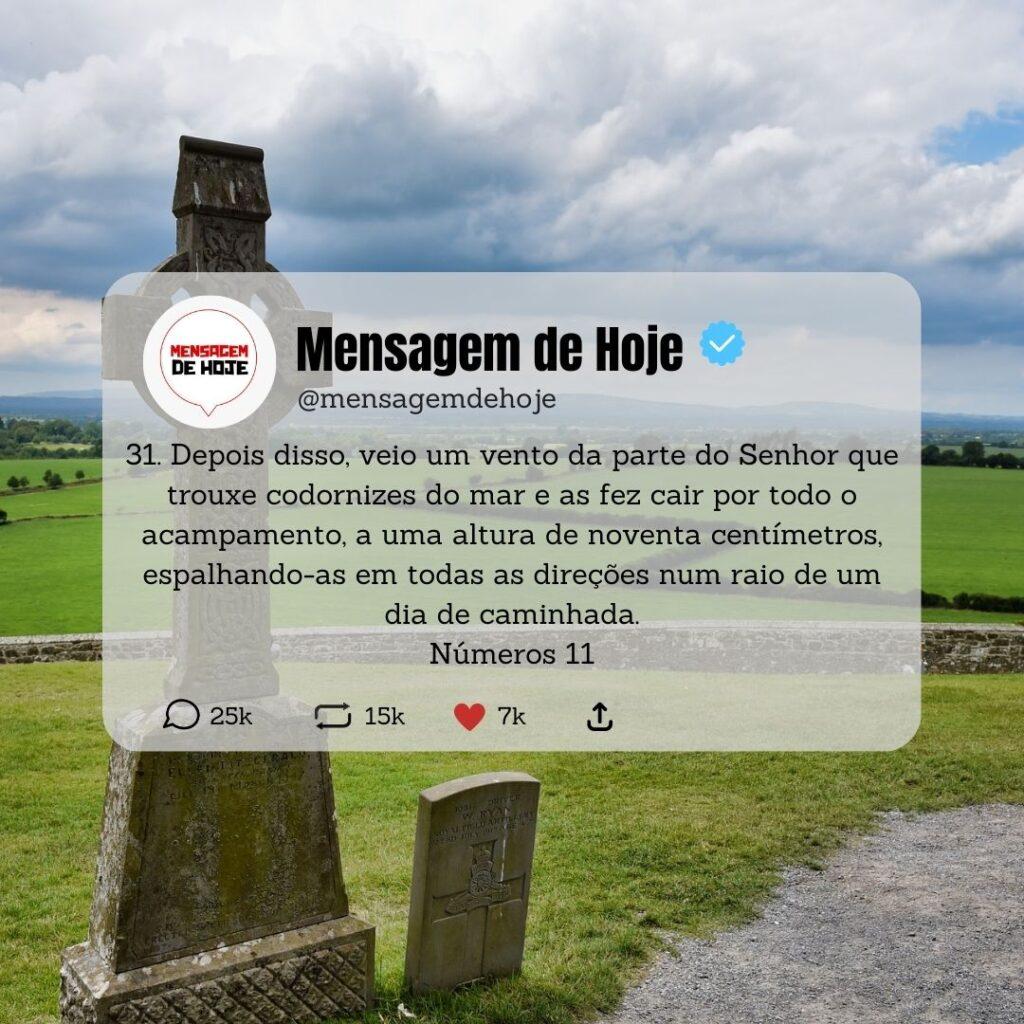 Salmos 02 de Maio de 2023 7