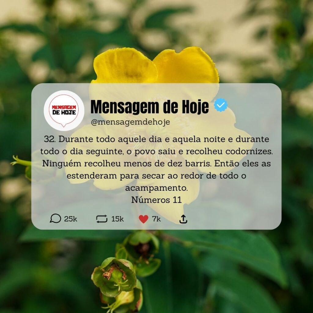 Salmos 02 de Maio de 2023 9