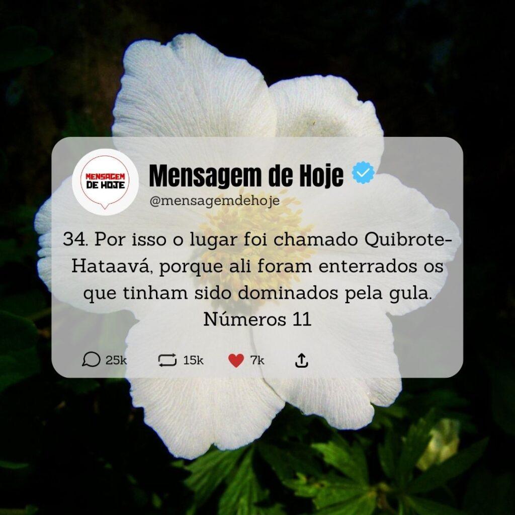 Salmos 03 de Maio de 2023 9