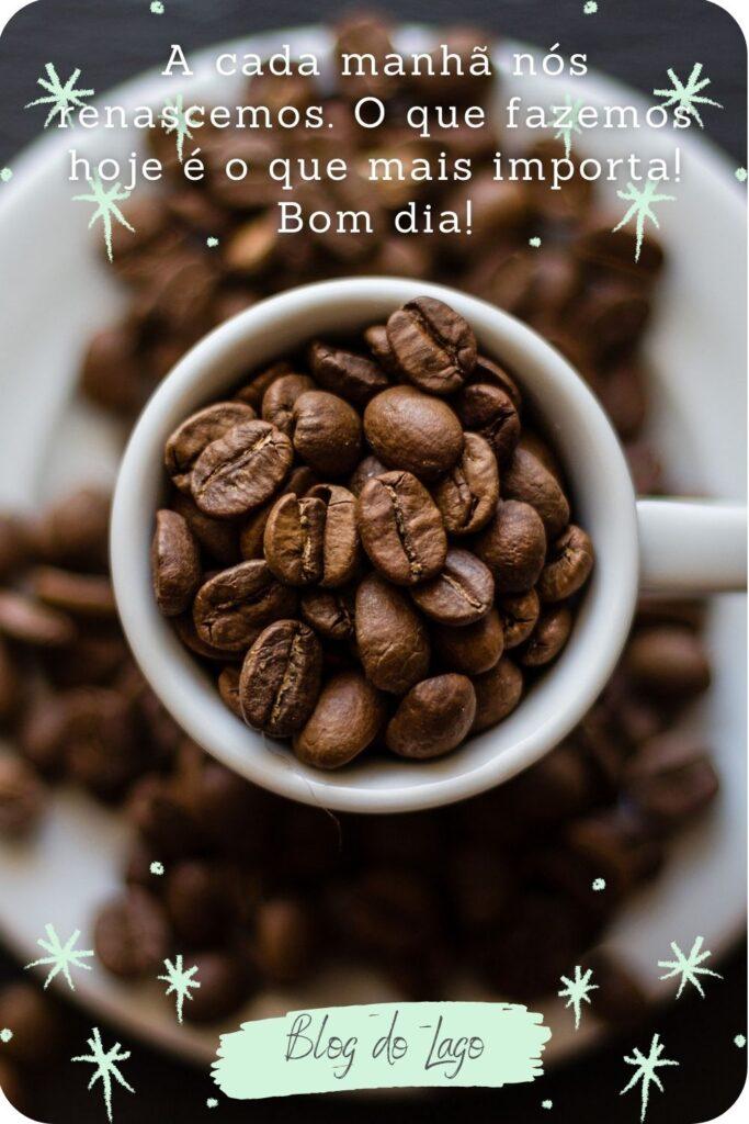 Bom Dia 07 de Maio de 2023 5