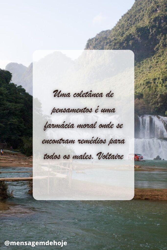 Pensamentos 24 de Maio de 2023 5
