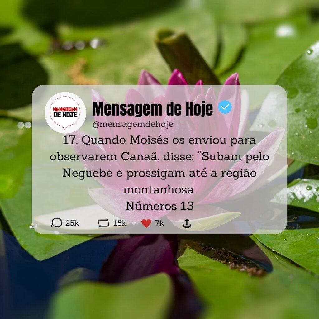 Salmos 06 de Maio de 2023 15
