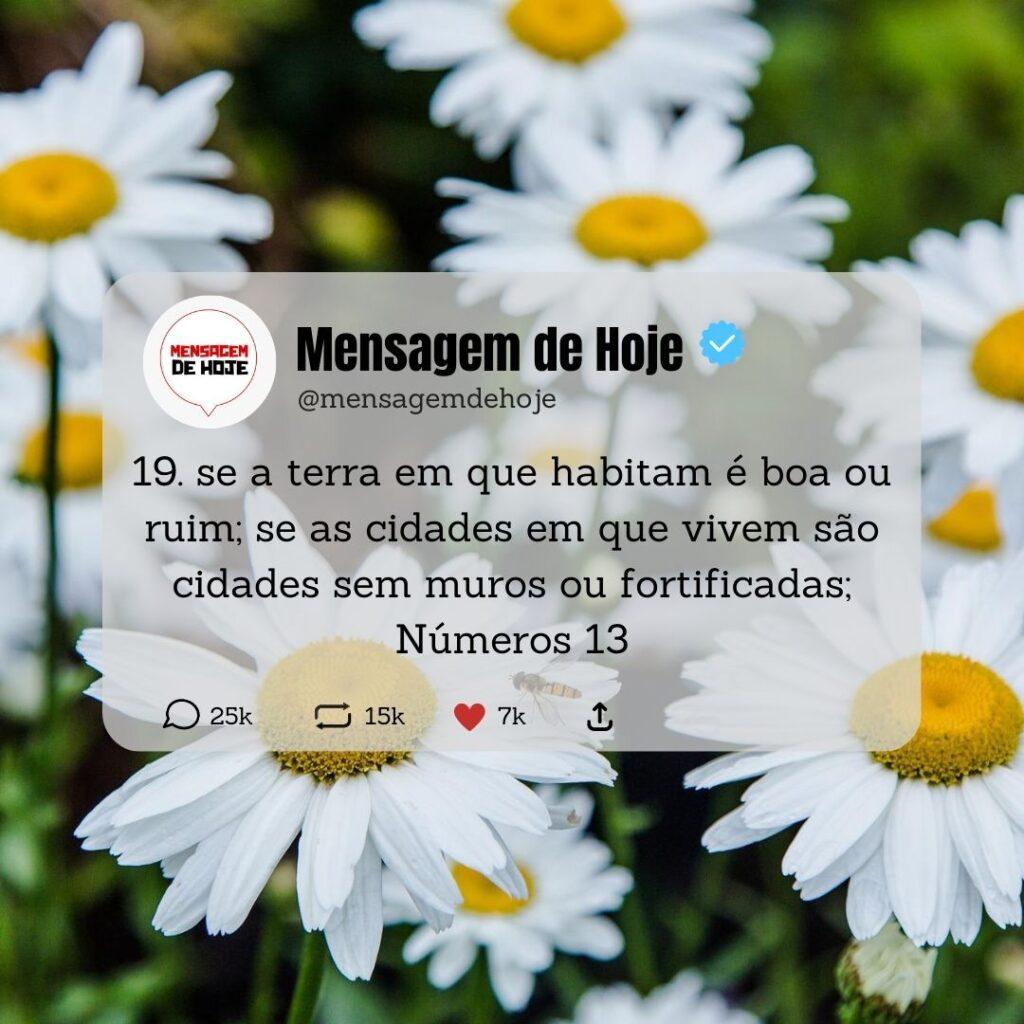 Salmos 06 de Maio de 2023 19