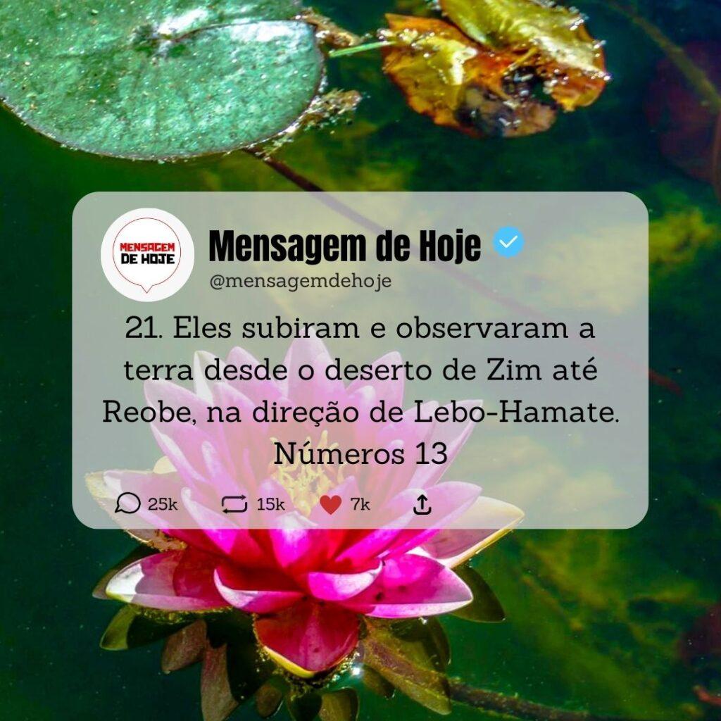 Salmos 06 de Maio de 2023 3