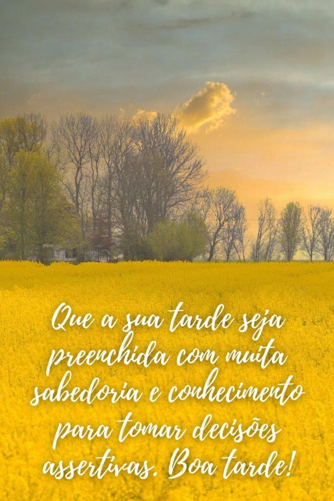 Boa Tarde 11 de Maio de 2023 5