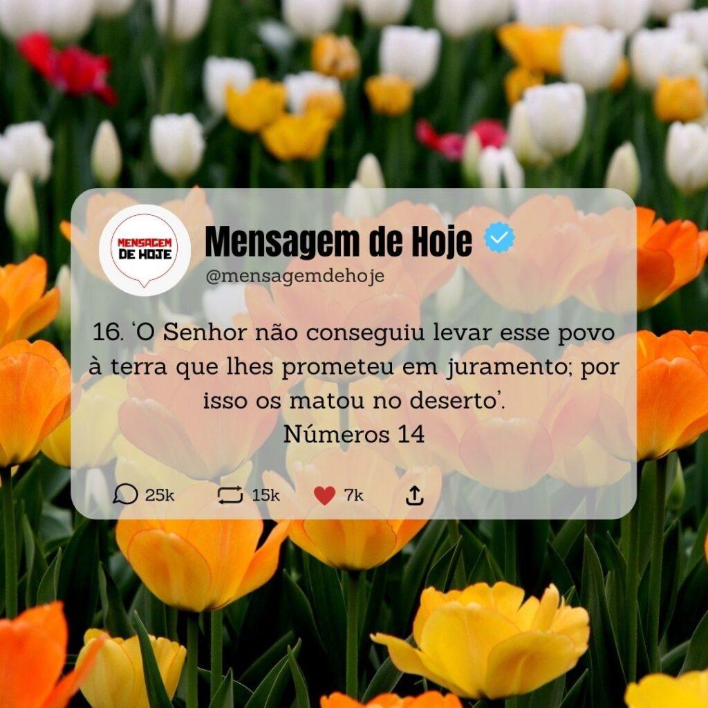 Salmos 09 de Maio de 2023 19