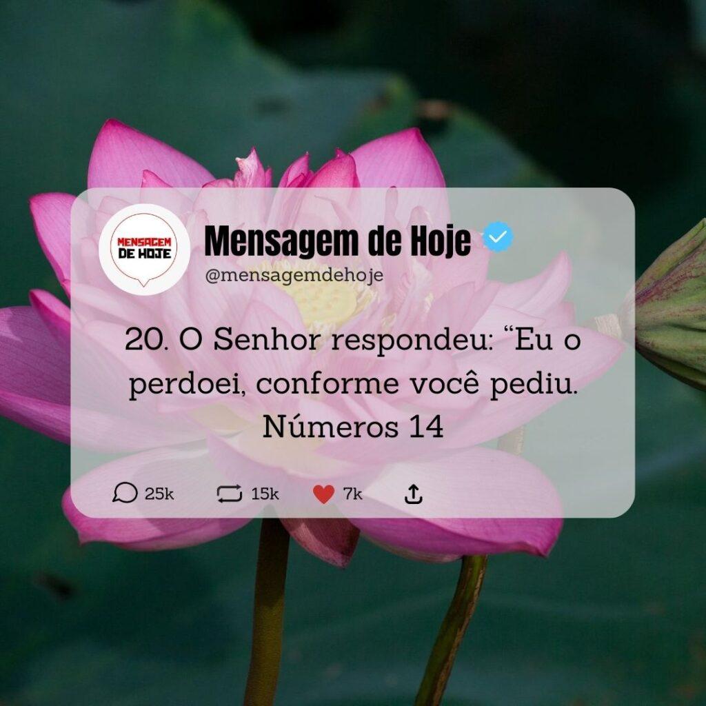 Salmos 10 de Maio de 2023 7