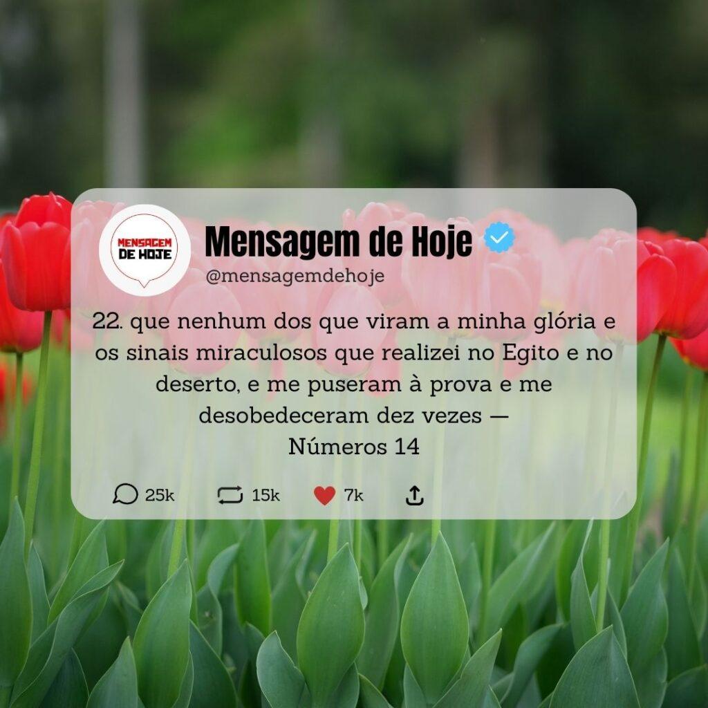 Salmos 10 de Maio de 2023 11