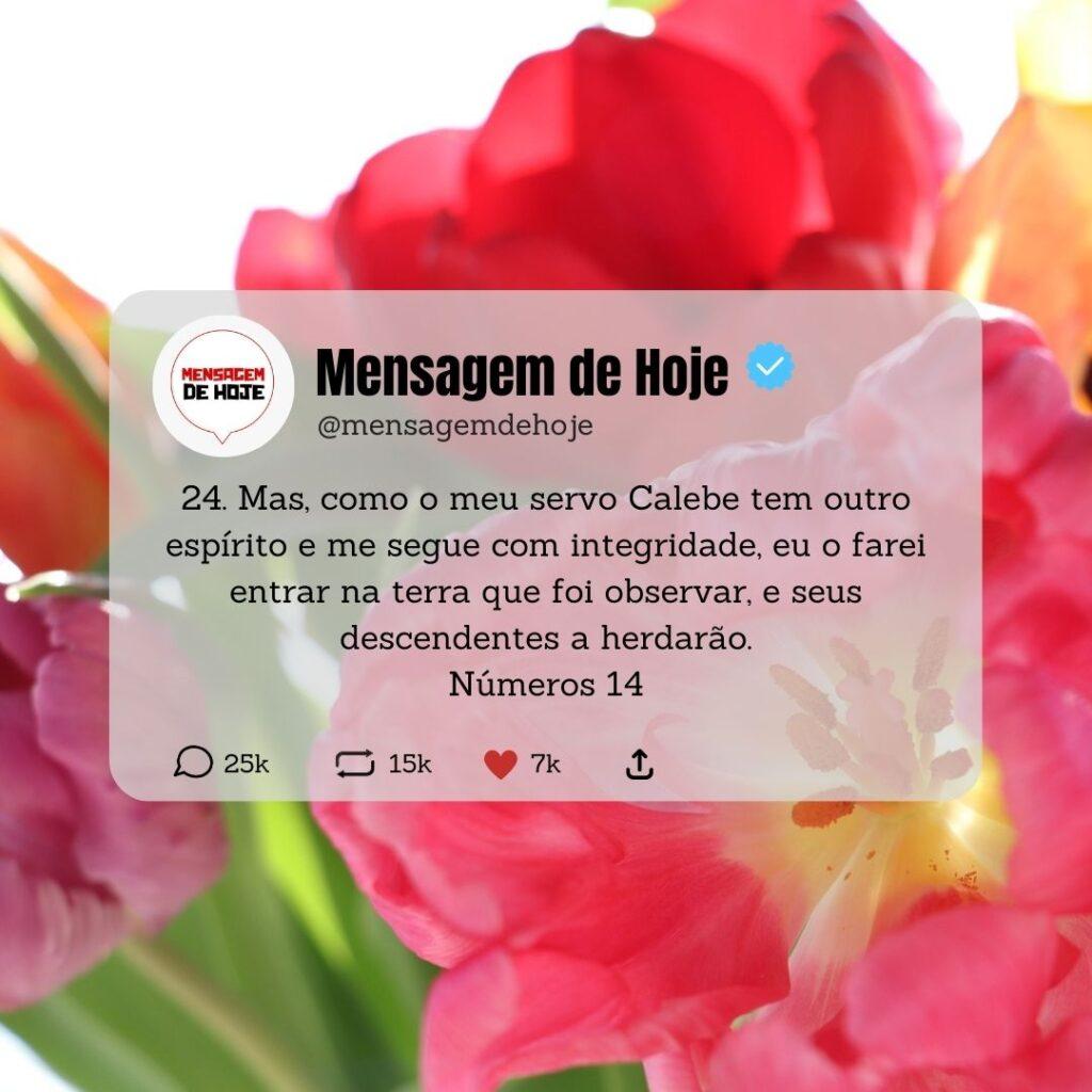 Salmos 10 de Maio de 2023 15