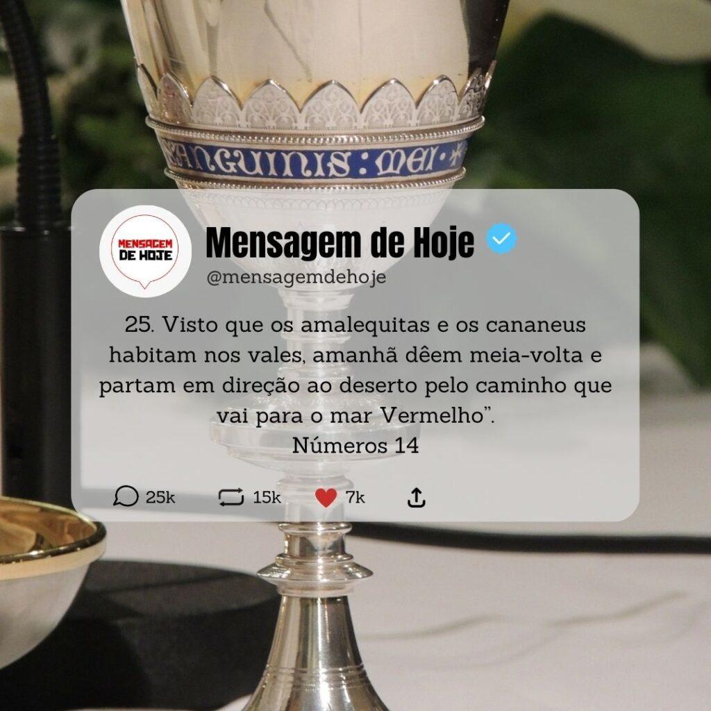 Salmos 10 de Maio de 2023 17