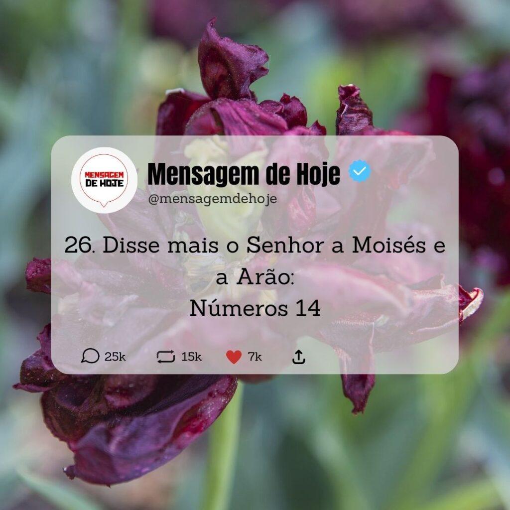 Salmos 10 de Maio de 2023 19