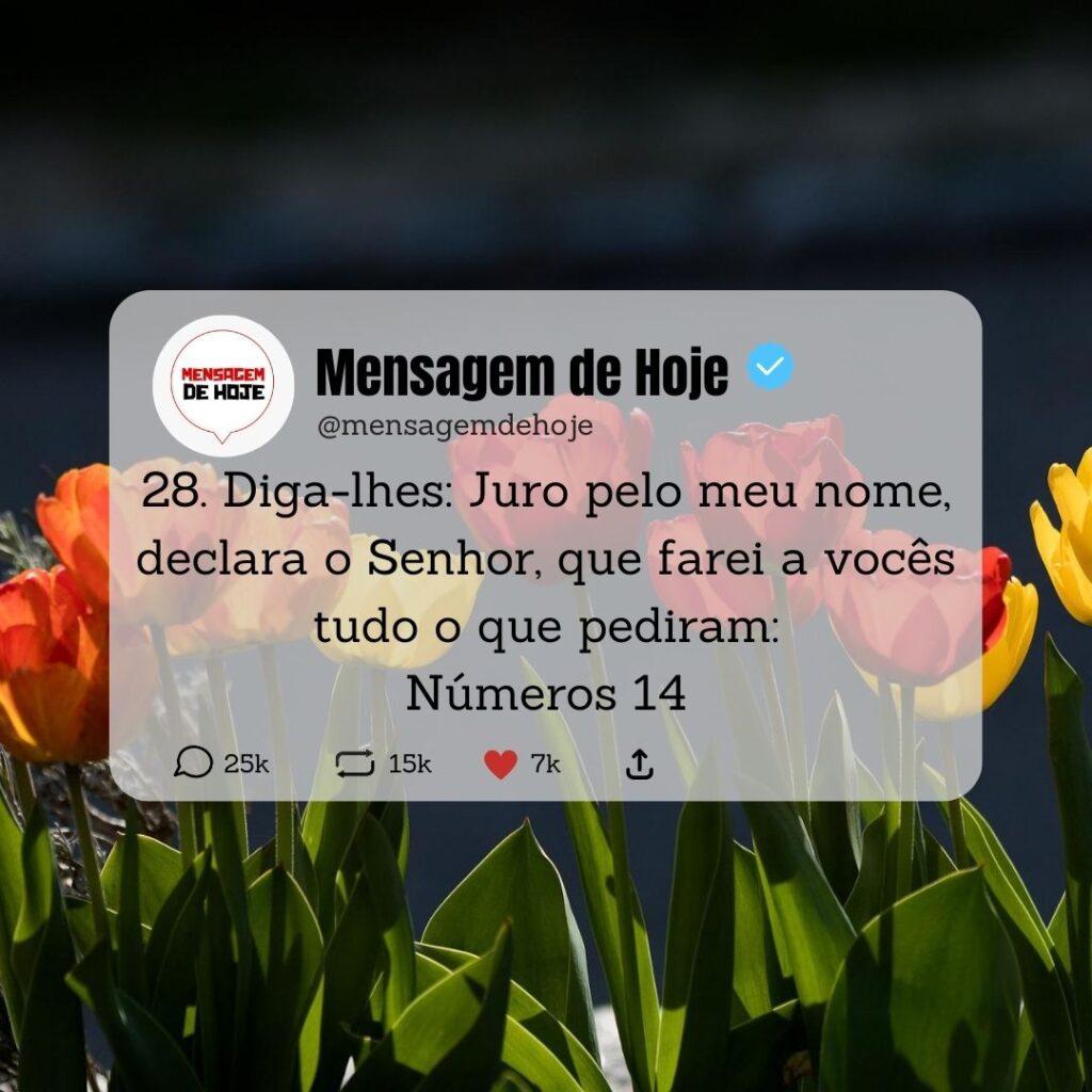 Salmos 10 de Maio de 2023 3