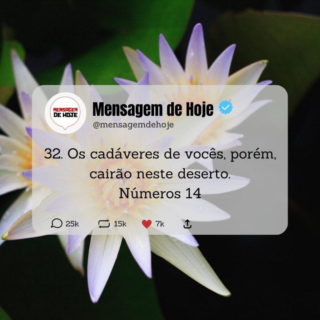 Salmos 11 de Maio de 2023 11