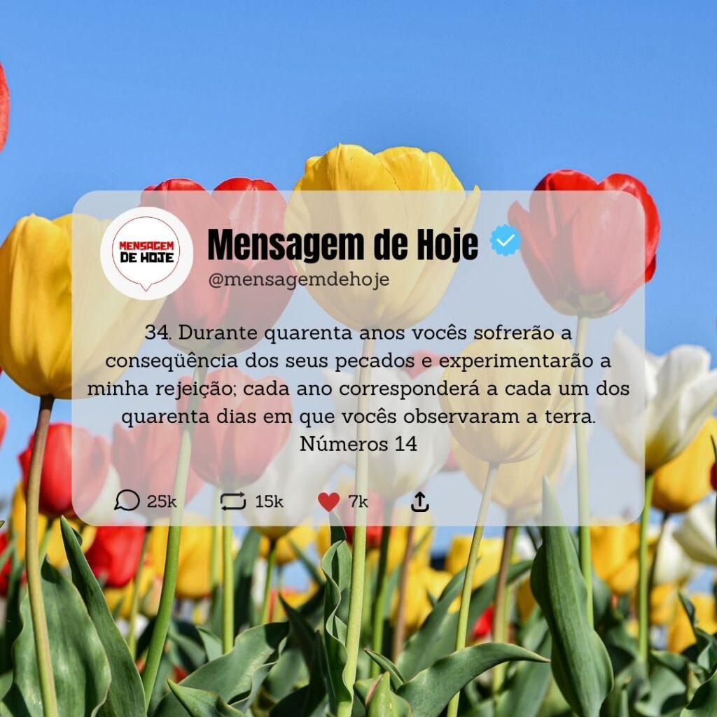 Salmos 11 de Maio de 2023 15