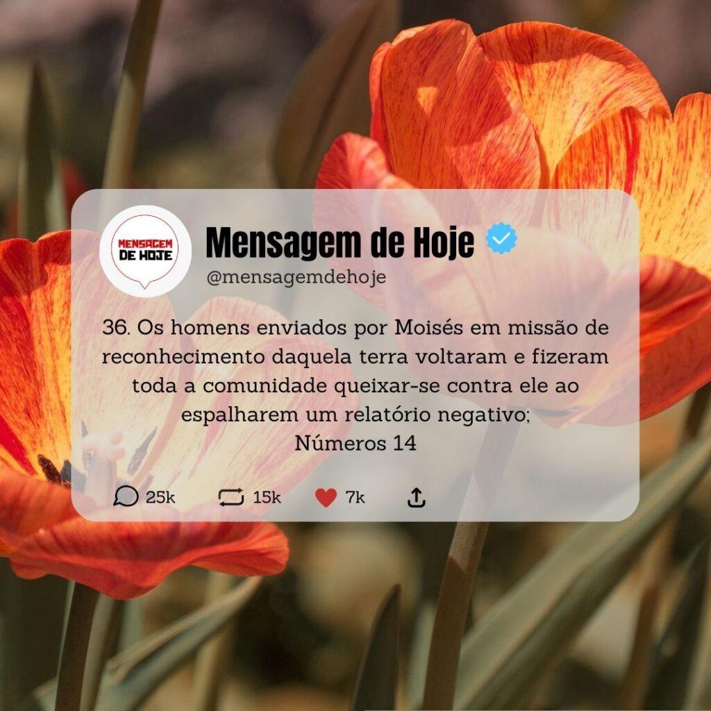 Salmos 11 de Maio de 2023 19