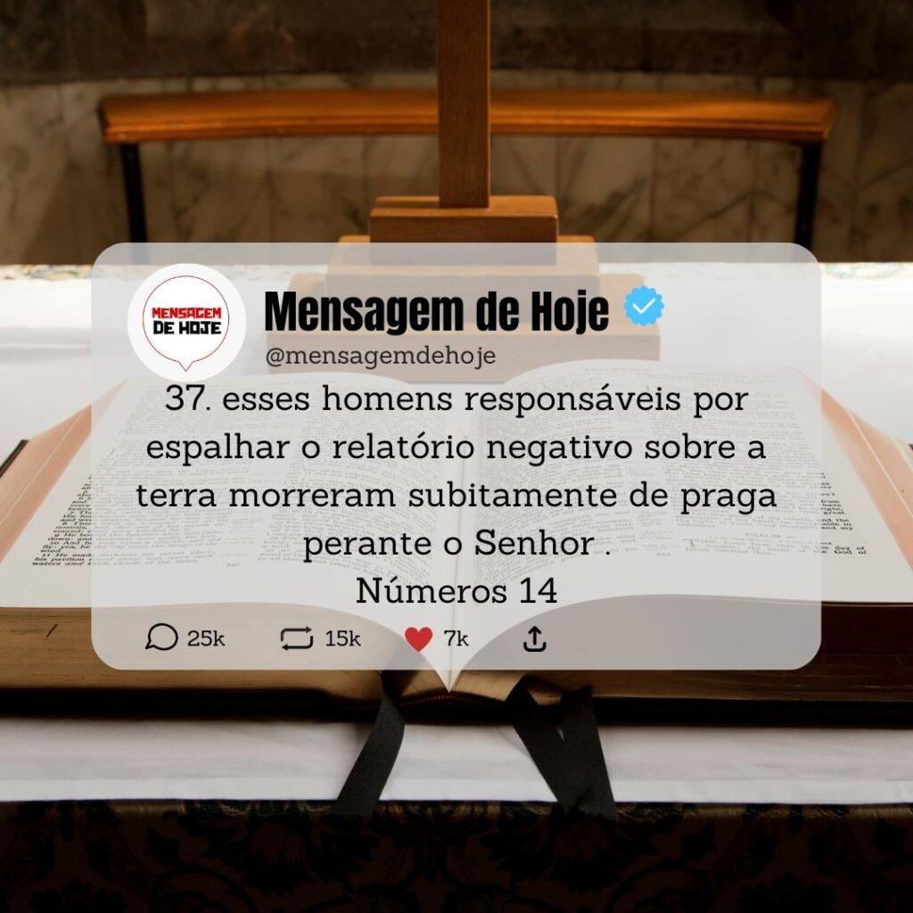 Salmos 11 de Maio de 2023 1