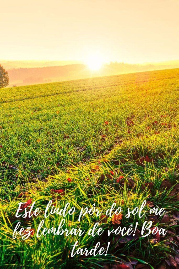 Boa Tarde 14 de Maio de 2023 19