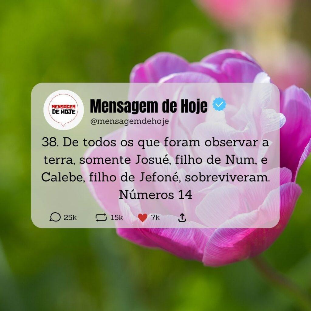Salmos 11 de Maio de 2023 3