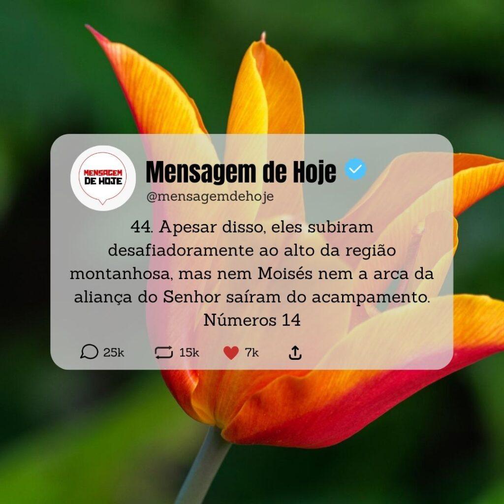 Salmos 12 de Maio de 2023 19