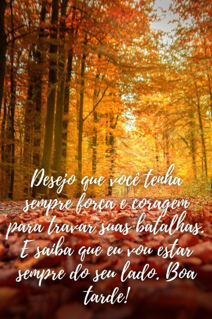 Boa Tarde 15 de Maio de 2023 15