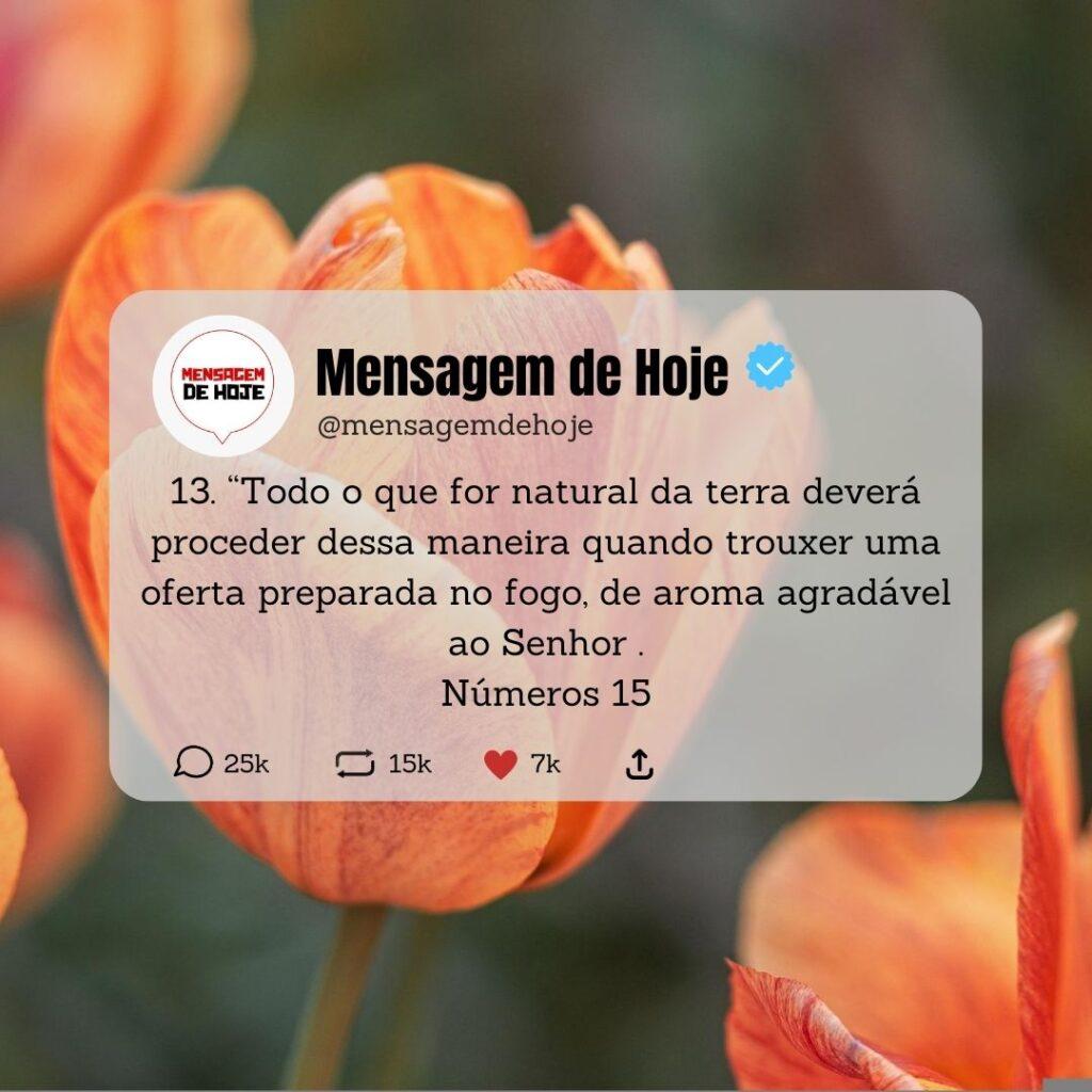 Salmos 13 de Maio de 2023 1