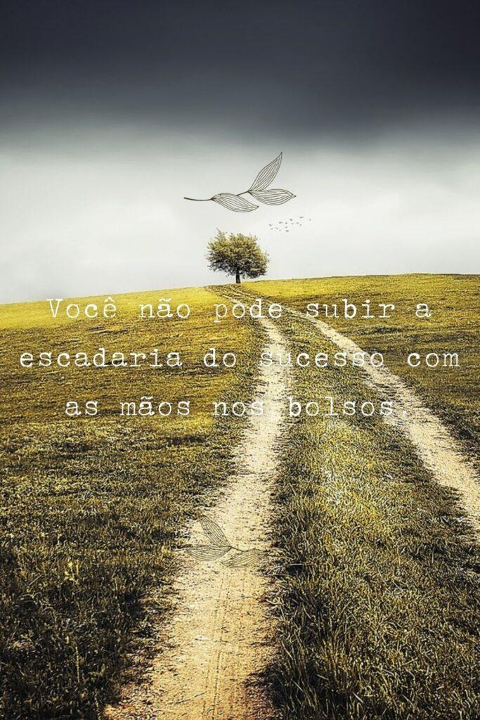 Pensamentos 04 de Maio de 2023 5