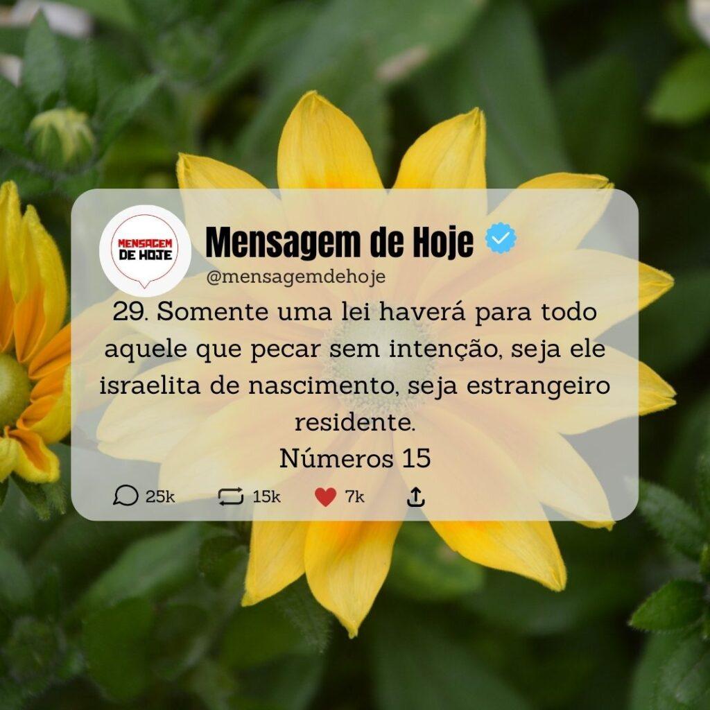 Salmos 15 de Maio de 2023 15