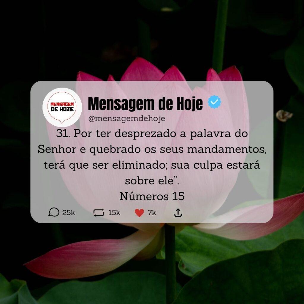 Salmos 15 de Maio de 2023 17