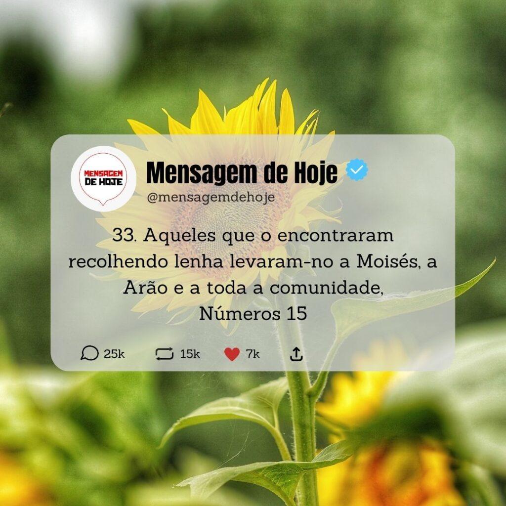 Salmos 15 de Maio de 2023 3