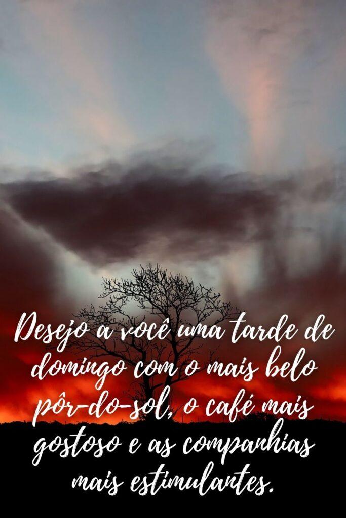 Boa Tarde 19 de Maio de 2023 7