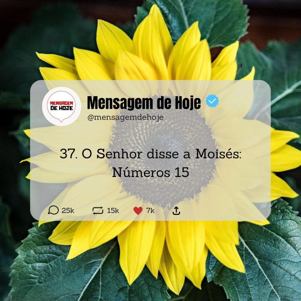 Salmos 16 de Maio de 2023 19