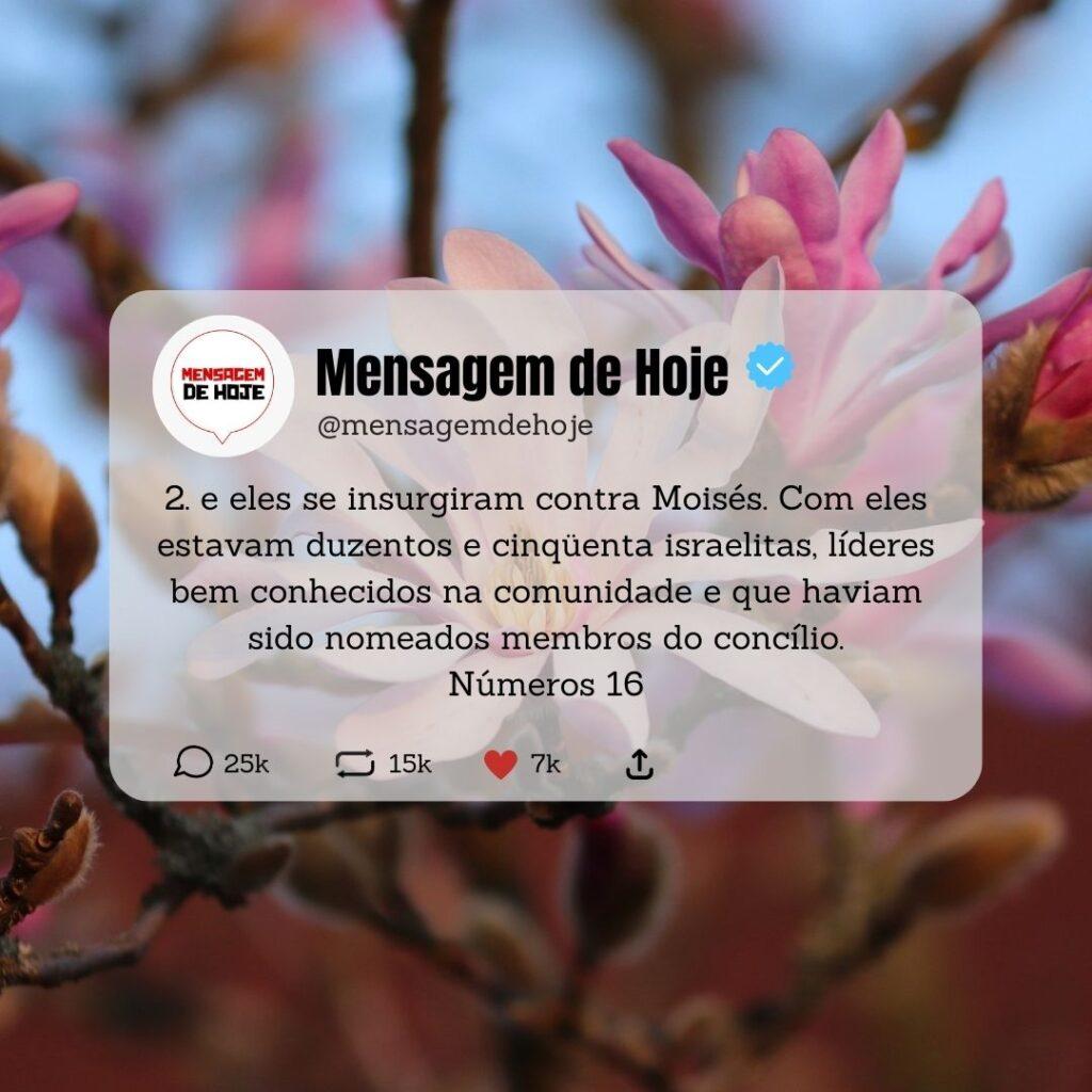 Salmos 16 de Maio de 2023 3