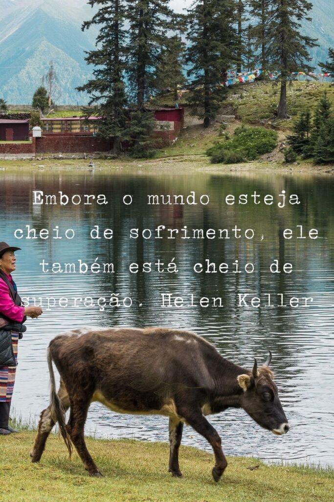 Pensamentos 06 de Maio de 2023 19
