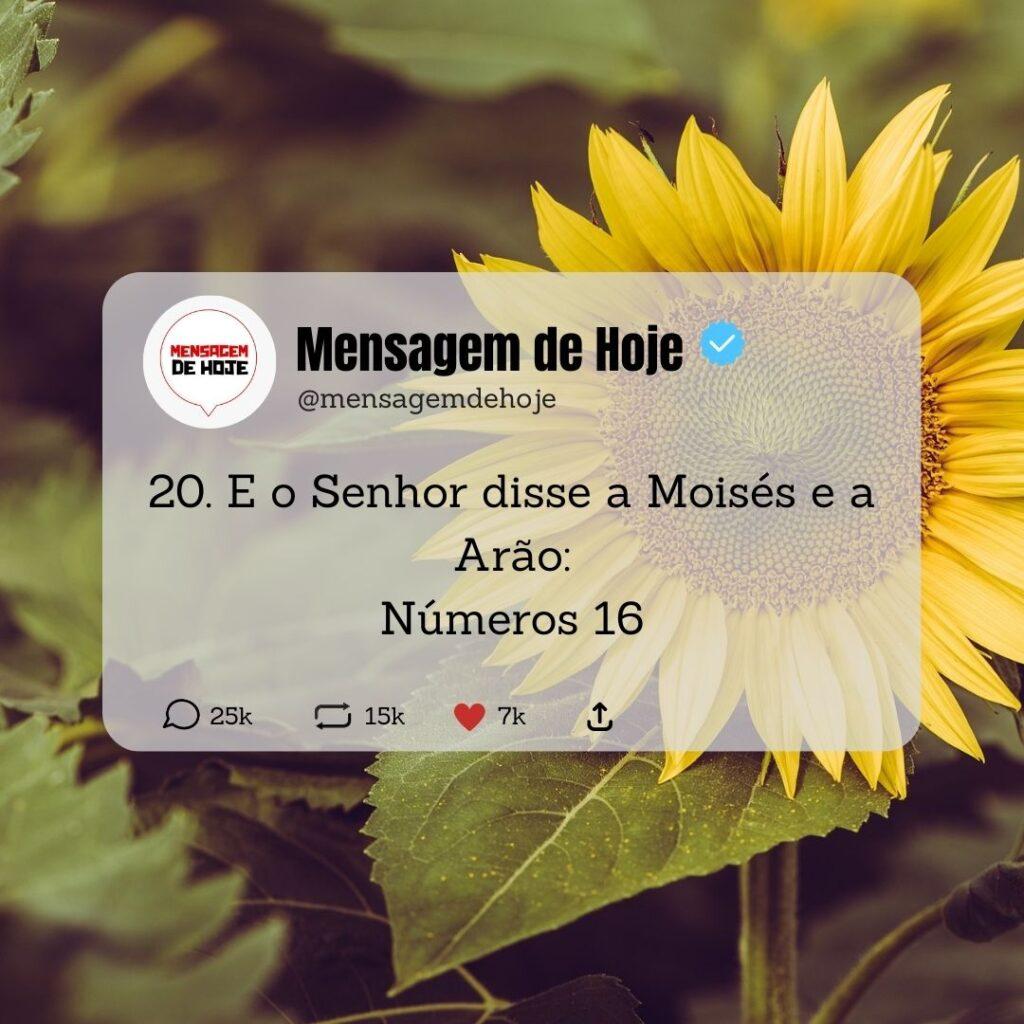 Salmos 18 de Maio de 2023 15