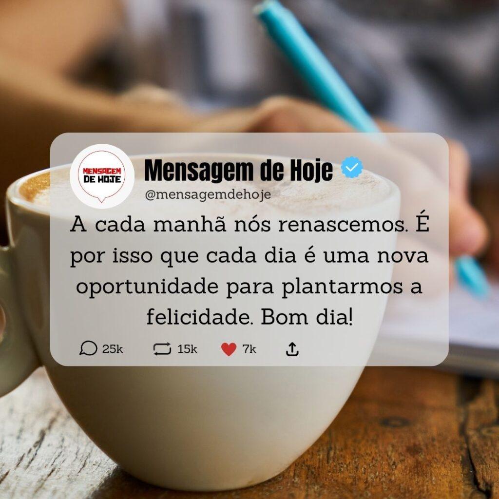 Bom Dia 23 de Maio de 2023 11
