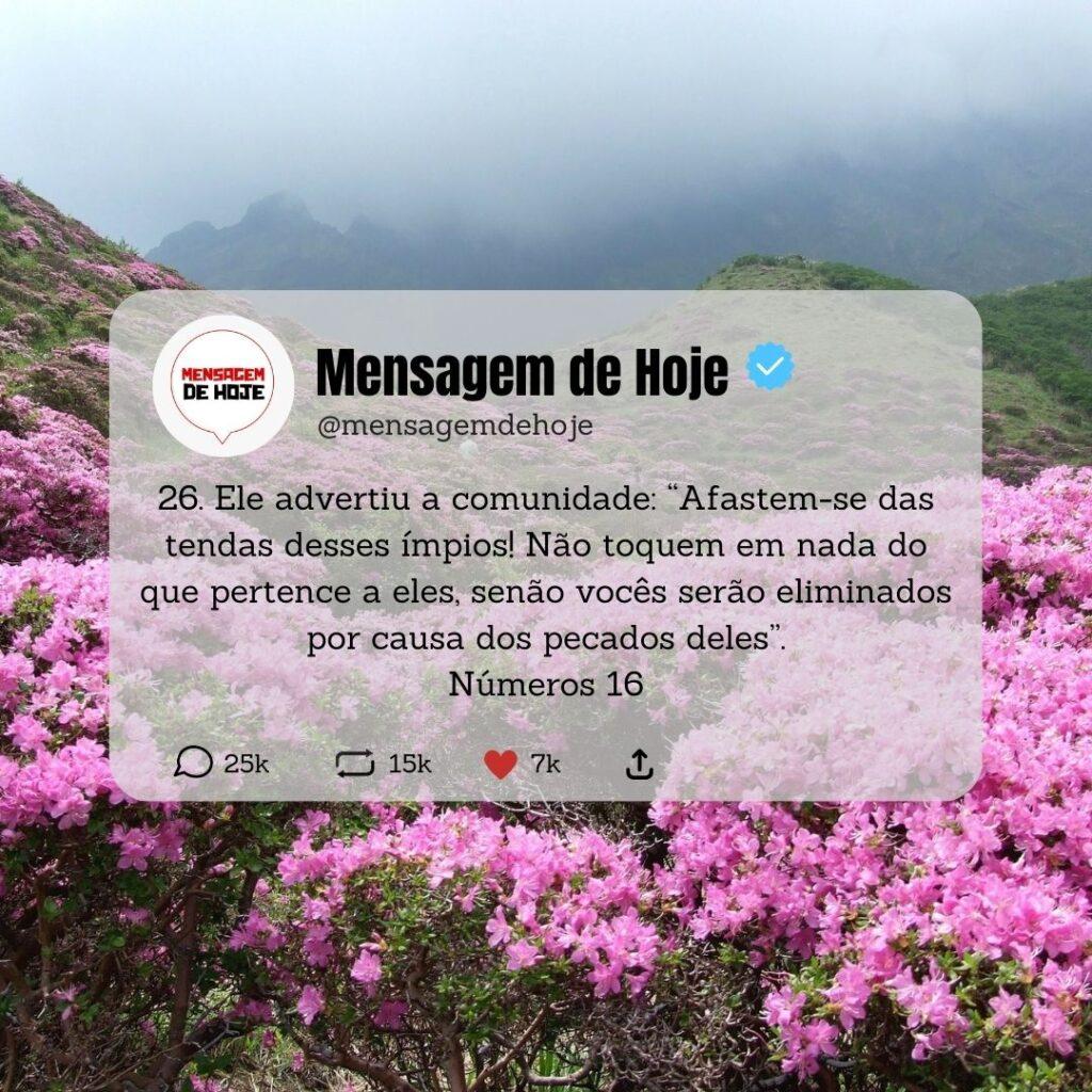 Salmos 19 de Maio de 2023 19