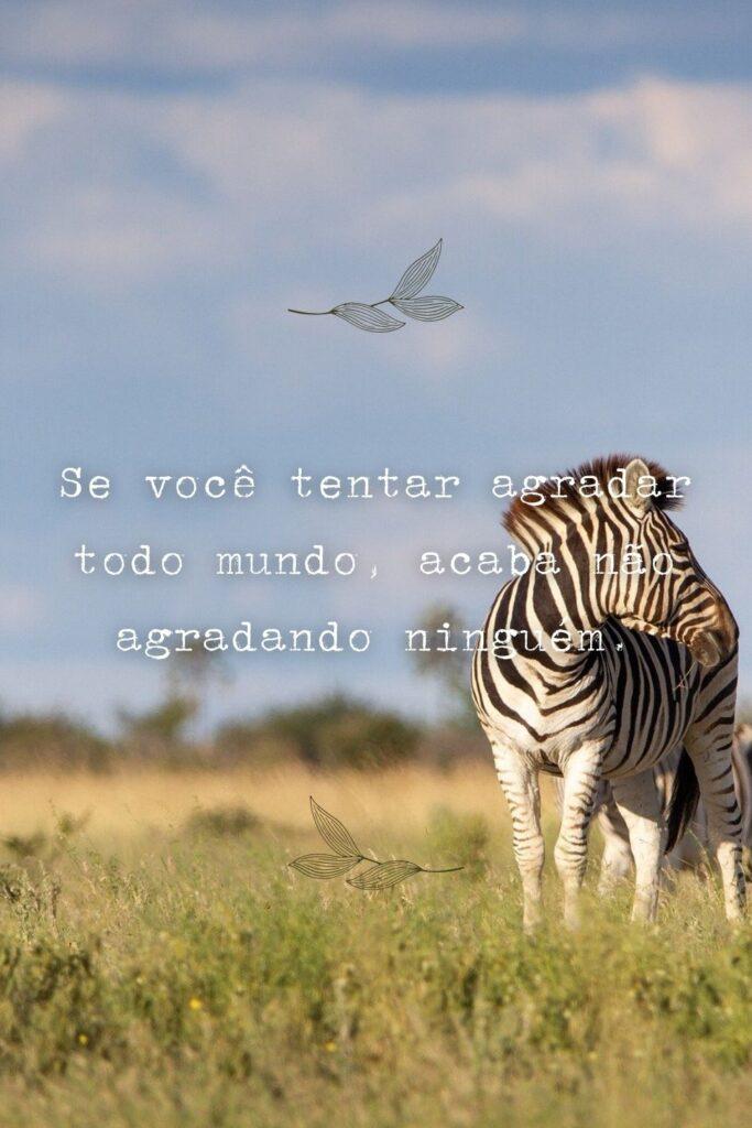Pensamentos 08 de Maio de 2023 11