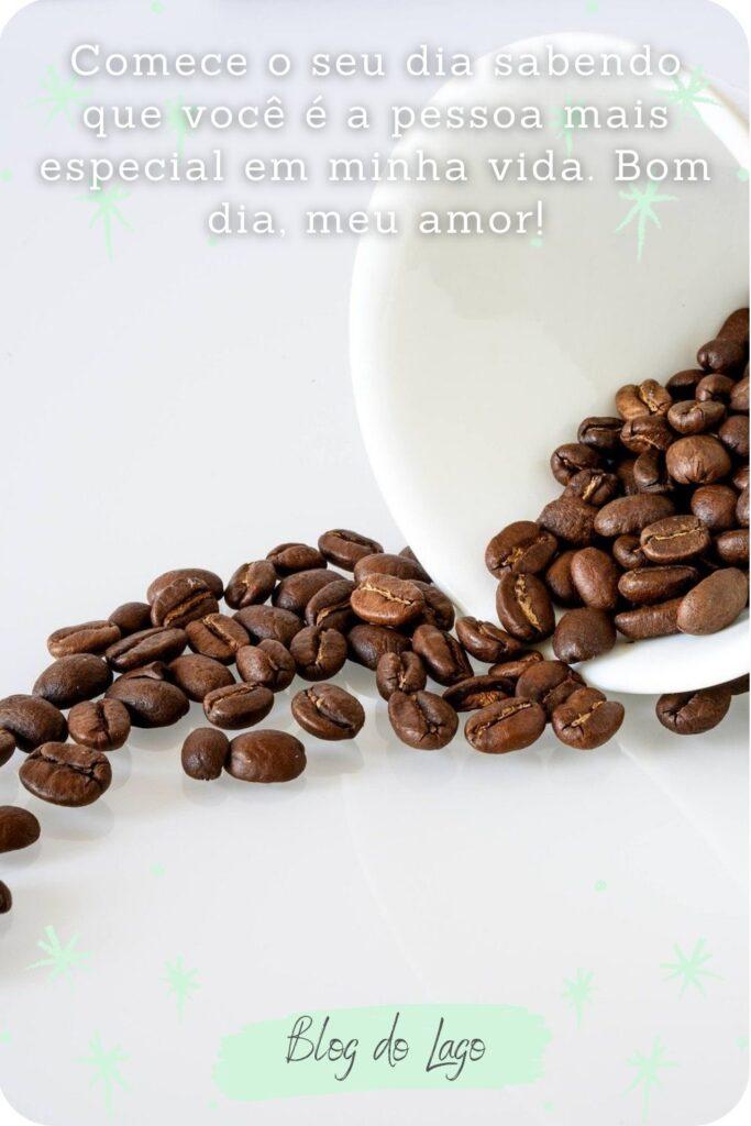 Bom Dia 22 de Maio de 2023 13