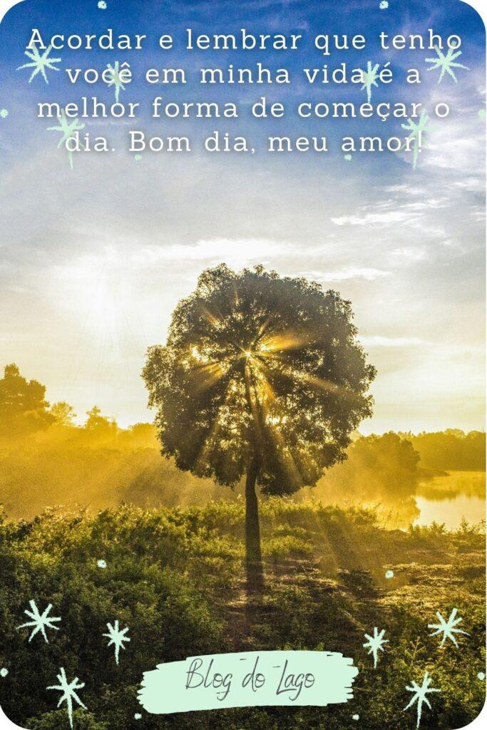 Bom Dia 22 de Maio de 2023 19
