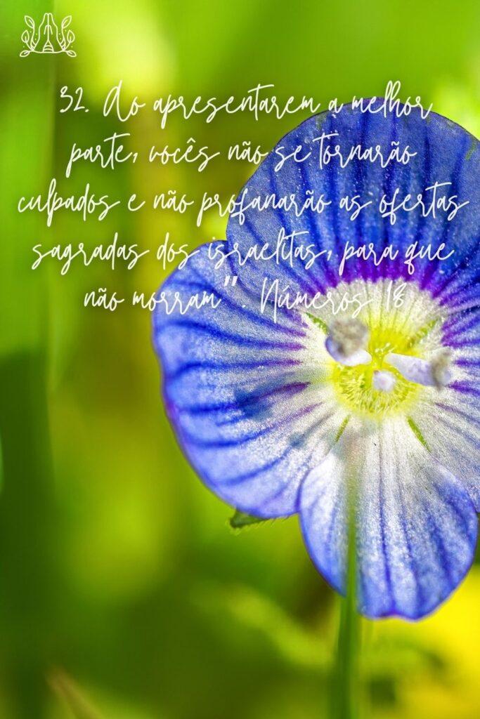 Salmos 26 de Maio de 2023 11