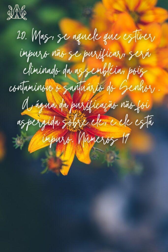 Salmos 28 de Maio de 2023 15