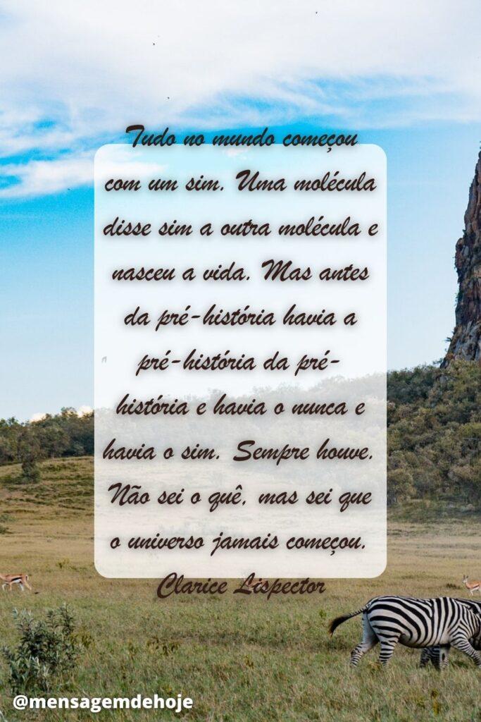 Pensamentos 18 de Maio de 2023 19