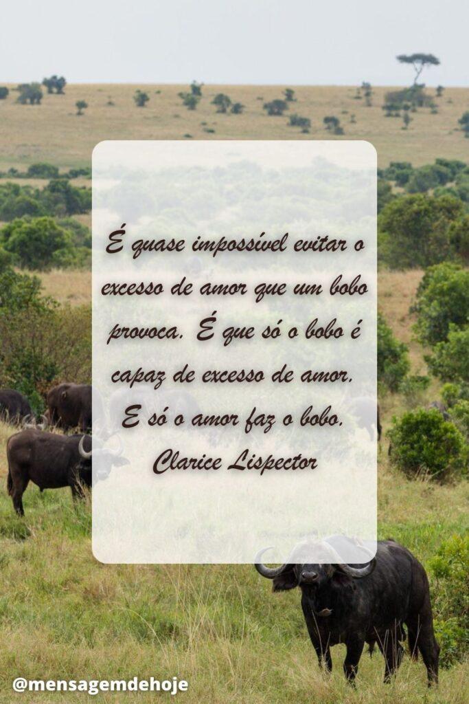 Pensamentos 18 de Maio de 2023 15