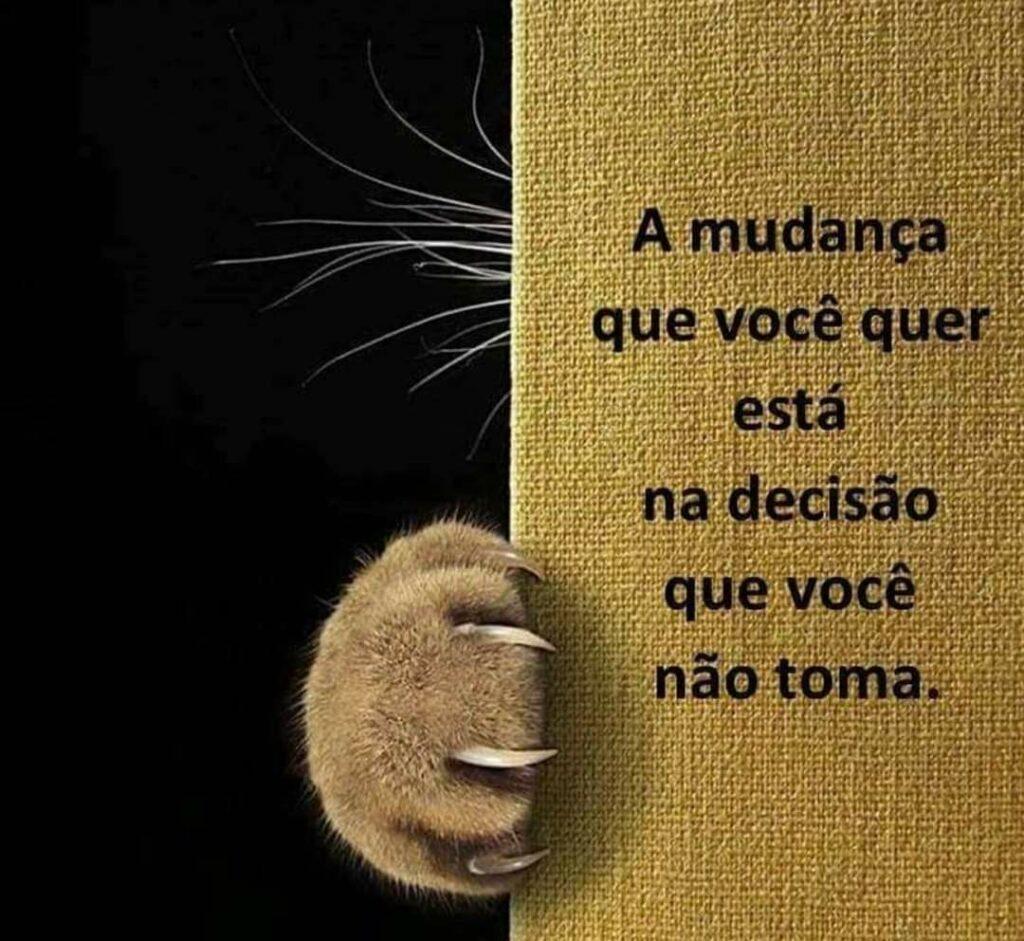 Pensamentos 29 de Maio de 2023 29
