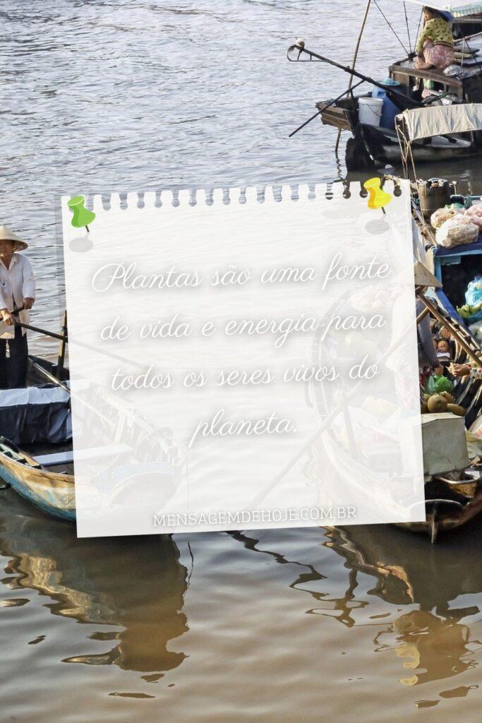 Pensamentos 23 de Junho de 2023 5